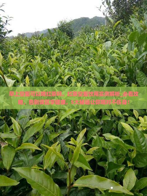 早上空腹可以喝红茶吗