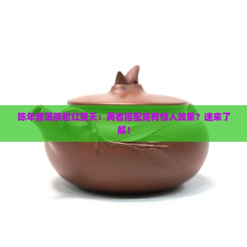 陈年普洱茶和红景天