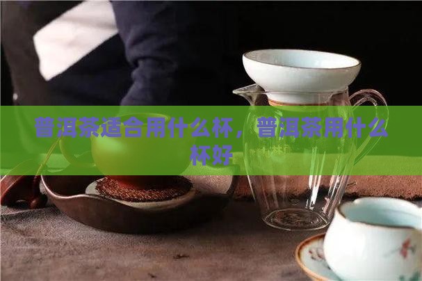 普洱茶适合用什么杯