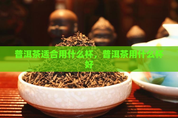 普洱茶适合用什么杯