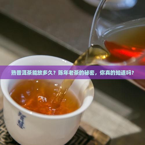 熟普洱茶存放时间 熟普洱茶存放时间