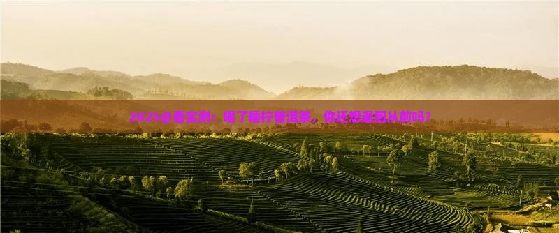 可惜你不喝糯柠普洱茶