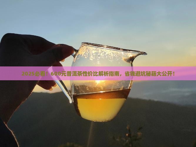 600左右普洱茶推荐性价比