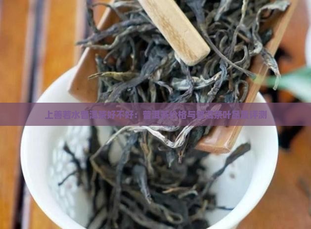 上善若水普洱茶好不好 上善若水普洱茶好不好