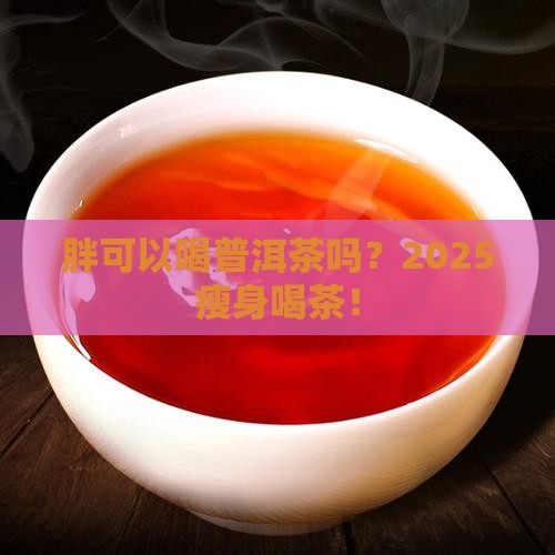 胖可以喝普洱茶吗吗