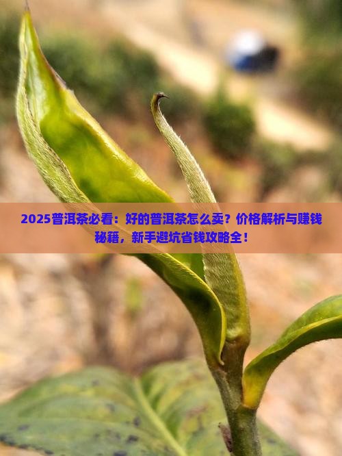 好的普洱茶怎么卖