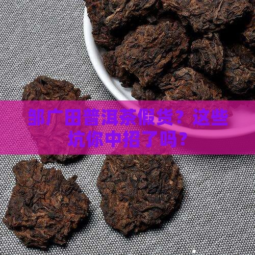 邹广田揭秘普洱茶假货