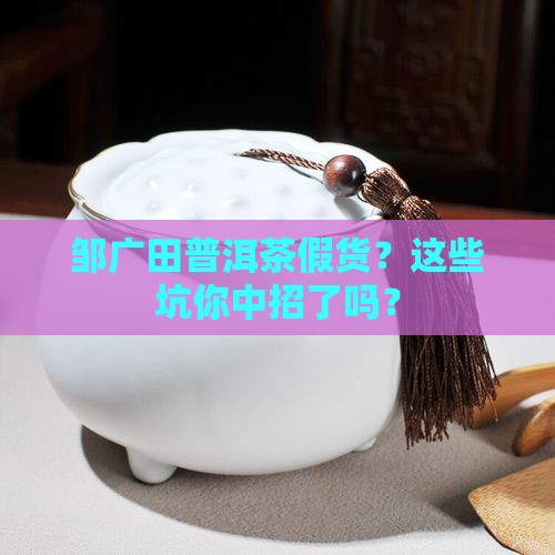 邹广田揭秘普洱茶假货