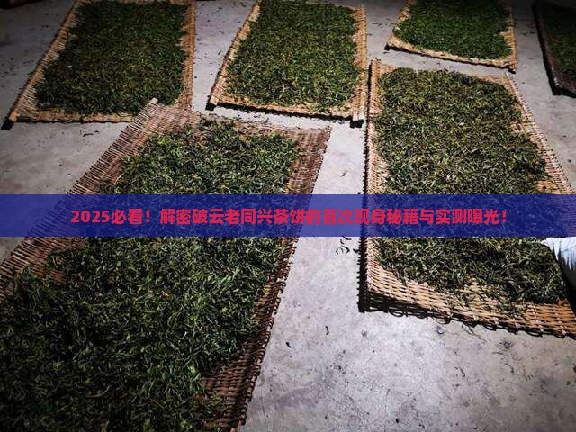 破云老同兴茶饼第一次出现