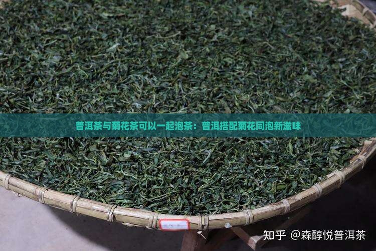 普洱茶与菊花茶可以一起泡茶：普洱搭配菊花同泡新滋味