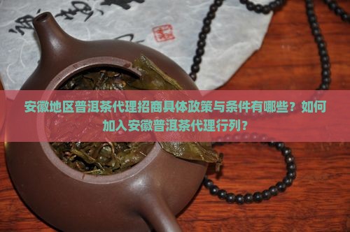 安徽地区普洱茶代理招商具体政策与条件有哪些？如何加入安徽普洱茶代理行列？