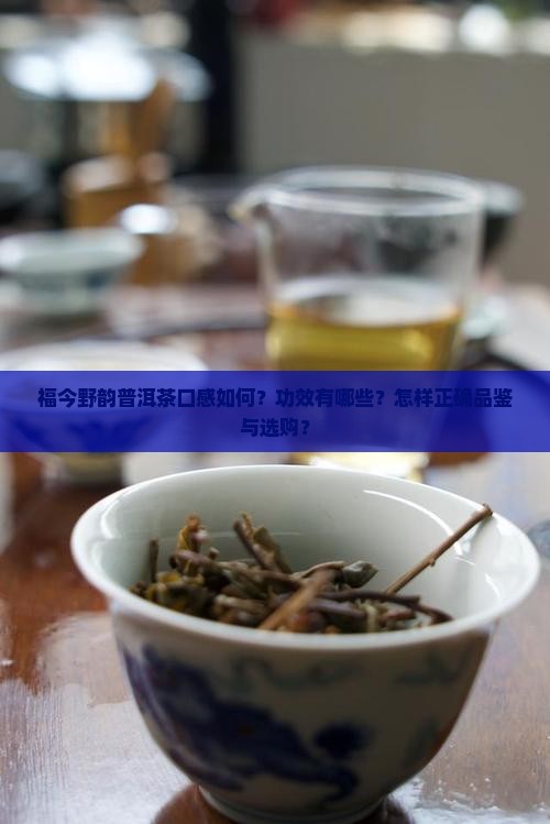 福今野韵普洱茶口感如何？功效有哪些？怎样正确品鉴与选购？