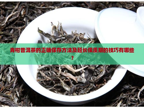 青柑普洱茶的正确保存方法及延长保质期的技巧有哪些？
