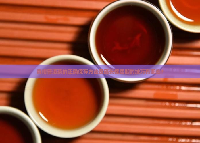 青柑普洱茶的正确保存方法及延长保质期的技巧有哪些？