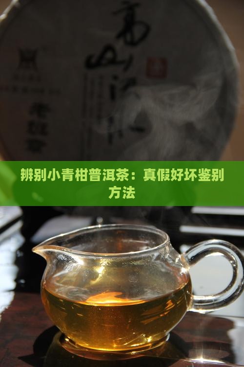 辨别小青柑普洱茶：真假好坏鉴别方法