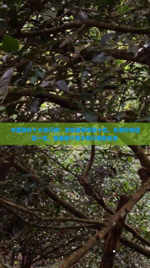 中国茶叶十大排行榜：京东推荐茗茶十名，名茶价格信息一览，看看哪个牌子排行哪些名茶