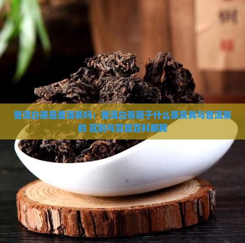 普洱白茶是普洱茶吗：普洱白茶属于什么茶及其与普洱茶的 区别与百度百科解释
