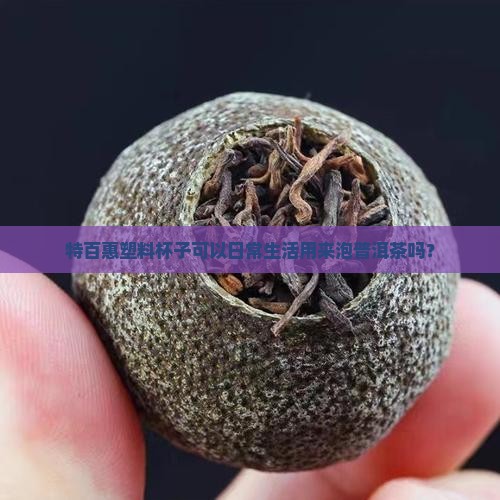 特百惠塑料杯子可以日常生活用来泡普洱茶吗？