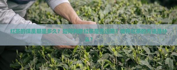红茶的保质期是多久？如何判断红茶是否过期？储存红茶的方法是什么？