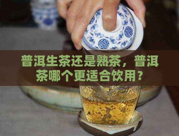 普洱生茶还是熟茶，普洱茶哪个更适合饮用？