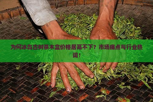 为何冰岛古树茶木盒价格居高不下？市场痛点与行业热词！