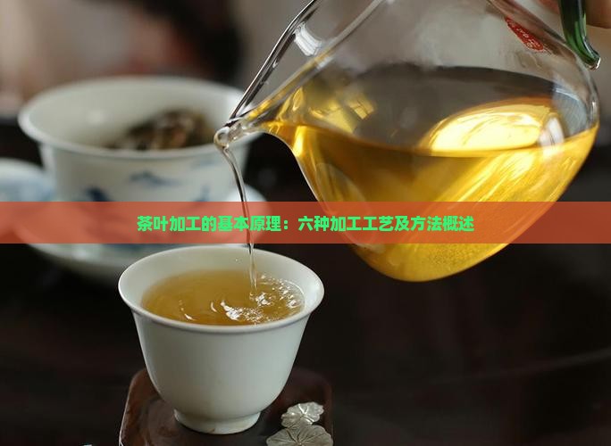 茶叶加工的基本原理：六种加工工艺及方法概述
