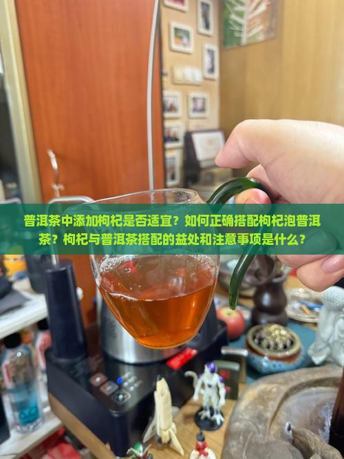 普洱茶中添加枸杞是否适宜？如何正确搭配枸杞泡普洱茶？枸杞与普洱茶搭配的益处和注意事项是什么？