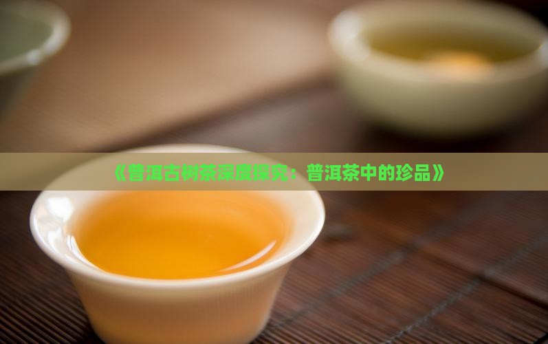 《普洱古树茶深度探究：普洱茶中的珍品》