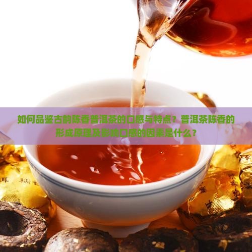 如何品鉴古韵陈香普洱茶的口感与特点？普洱茶陈香的形成原理及影响口感的因素是什么？