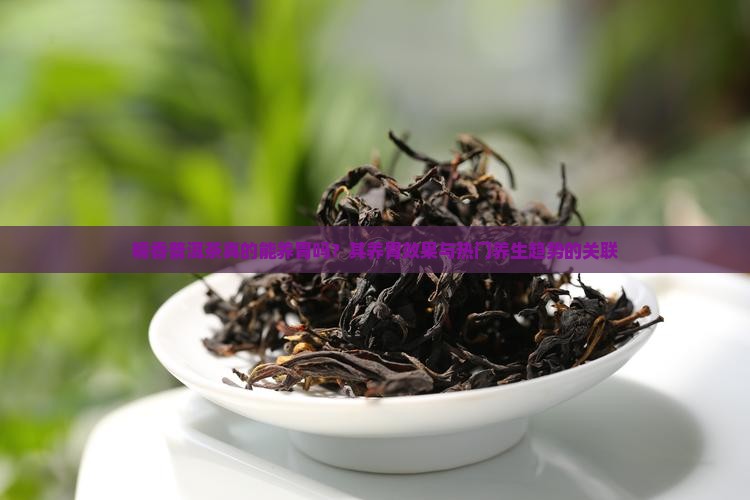 糯香普洱茶真的能养胃吗？其养胃效果与热门养生趋势的关联