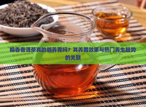 糯香普洱茶真的能养胃吗？其养胃效果与热门养生趋势的关联