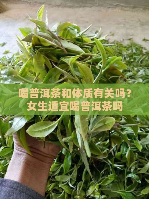 喝普洱茶和体质有关吗？女生适宜喝普洱茶吗