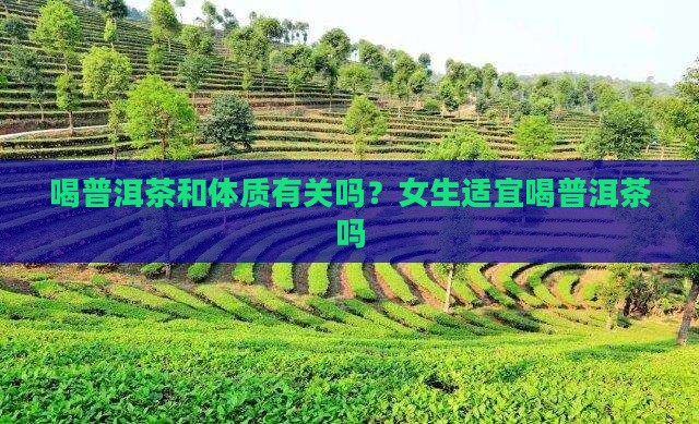 喝普洱茶和体质有关吗？女生适宜喝普洱茶吗
