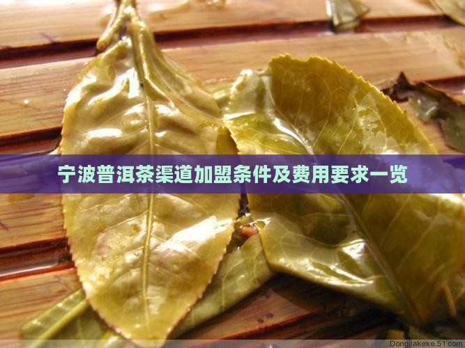 宁波普洱茶渠道加盟条件及费用要求一览