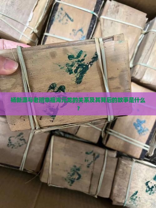 杨新源与老班章福海元龙的关系及其背后的故事是什么？
