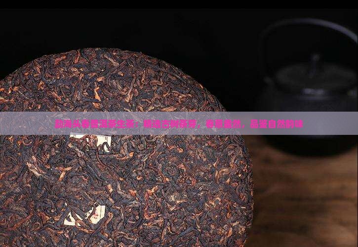 勐海头春普洱茶生茶：精选古树茶芽，春意盎然，品鉴自然韵味