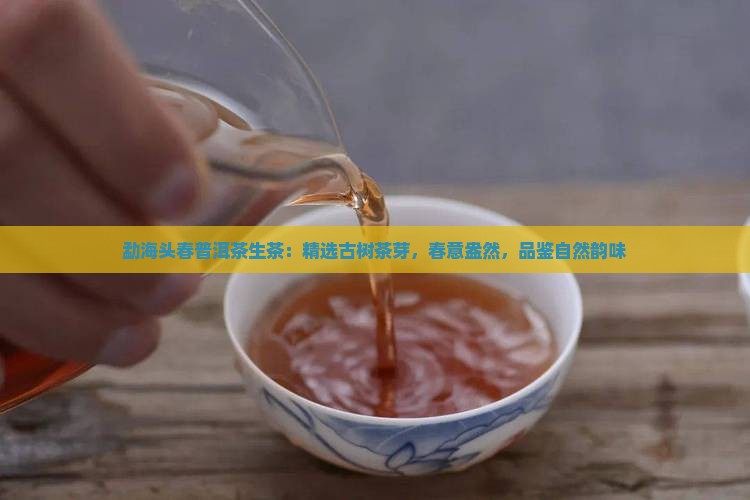 勐海头春普洱茶生茶：精选古树茶芽，春意盎然，品鉴自然韵味