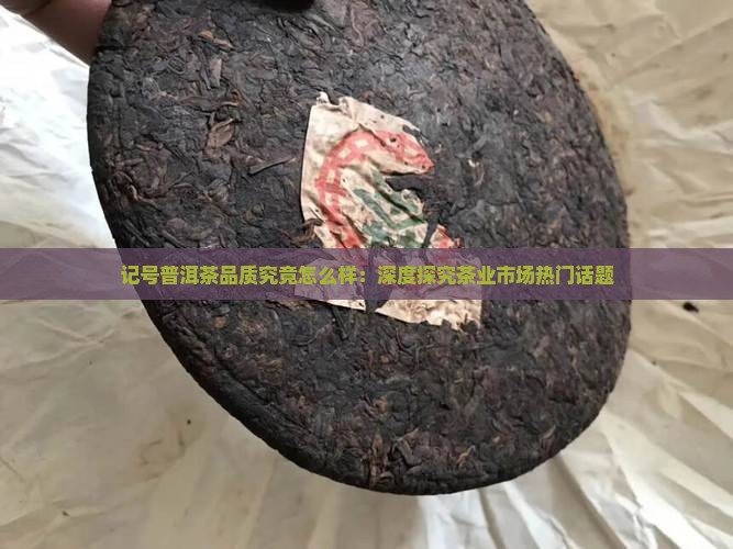 记号普洱茶品质究竟怎么样：深度探究茶业市场热门话题