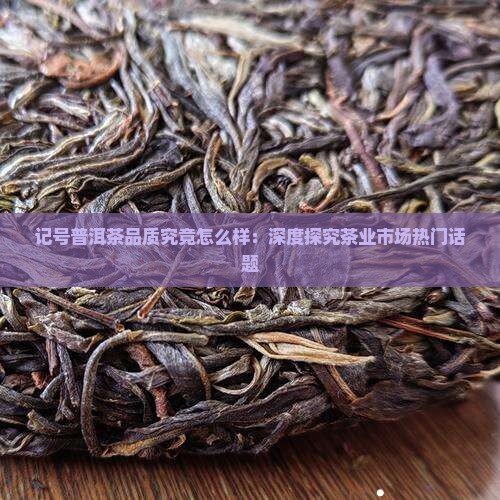 记号普洱茶品质究竟怎么样：深度探究茶业市场热门话题