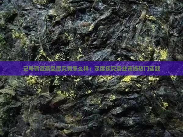 记号普洱茶品质究竟怎么样：深度探究茶业市场热门话题