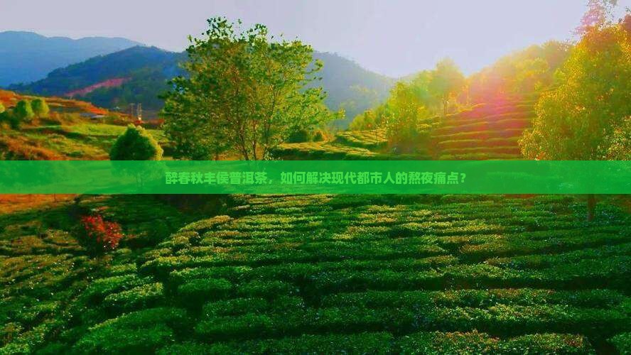 醉春秋丰侯普洱茶，如何解决现代都市人的熬夜痛点？