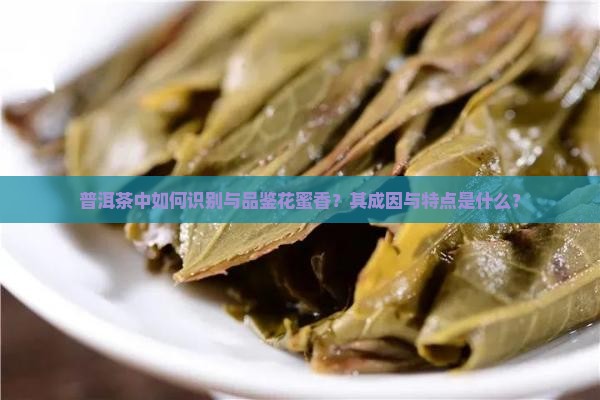 普洱茶中如何识别与品鉴花蜜香？其成因与特点是什么？