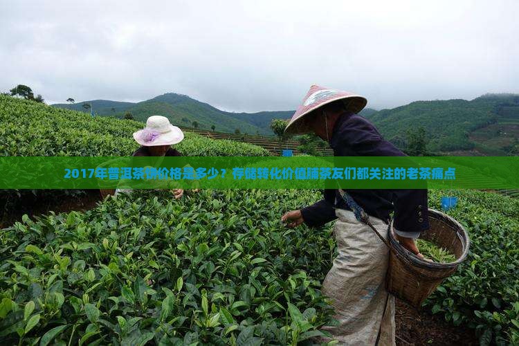2017年普洱茶饼价格是多少？存储转化价值脯茶友们都关注的老茶痛点