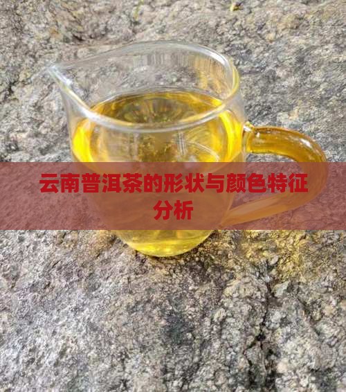 云南普洱茶的形状与颜色特征分析
