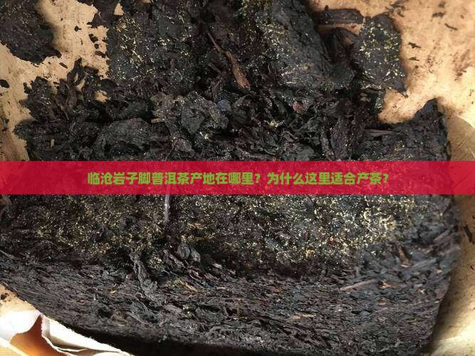 临沧岩子脚普洱茶产地在哪里？为什么这里适合产茶？