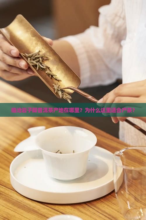 临沧岩子脚普洱茶产地在哪里？为什么这里适合产茶？