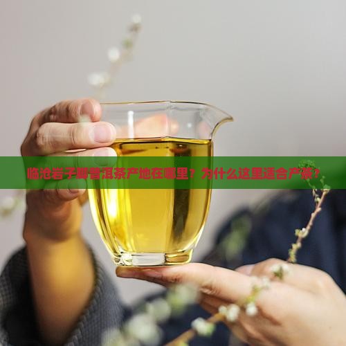 临沧岩子脚普洱茶产地在哪里？为什么这里适合产茶？
