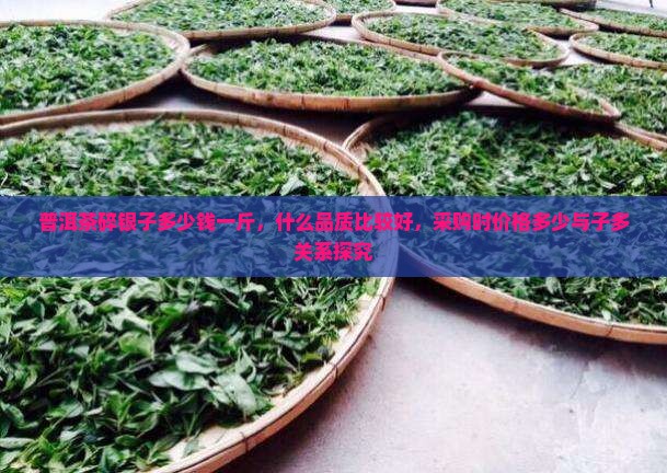 普洱茶碎银子多少钱一斤，什么品质比较好，采购时价格多少与子多关系探究