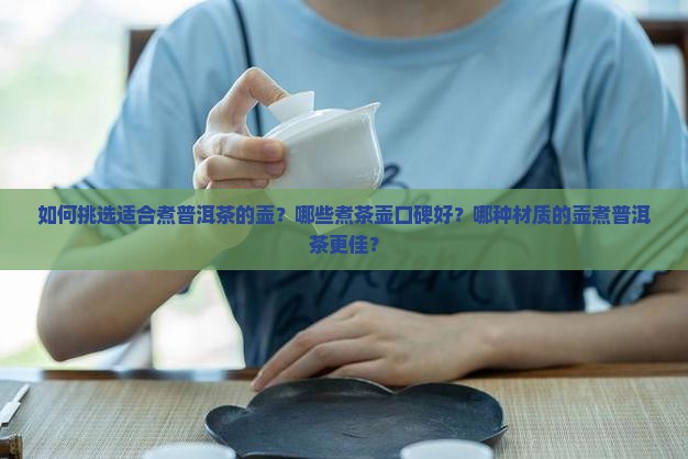 如何挑选适合煮普洱茶的壶？哪些煮茶壶口碑好？哪种材质的壶煮普洱茶更佳？