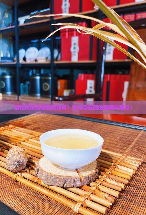 曼松贡茶口感究竟如何？探究茶友圈的宝藏与痛点！